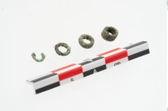 Foto von Bronzering (NHMW-PRAE-085779)